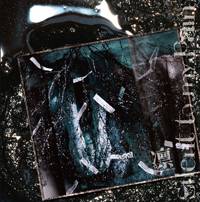 Lin : Silent To My Pain